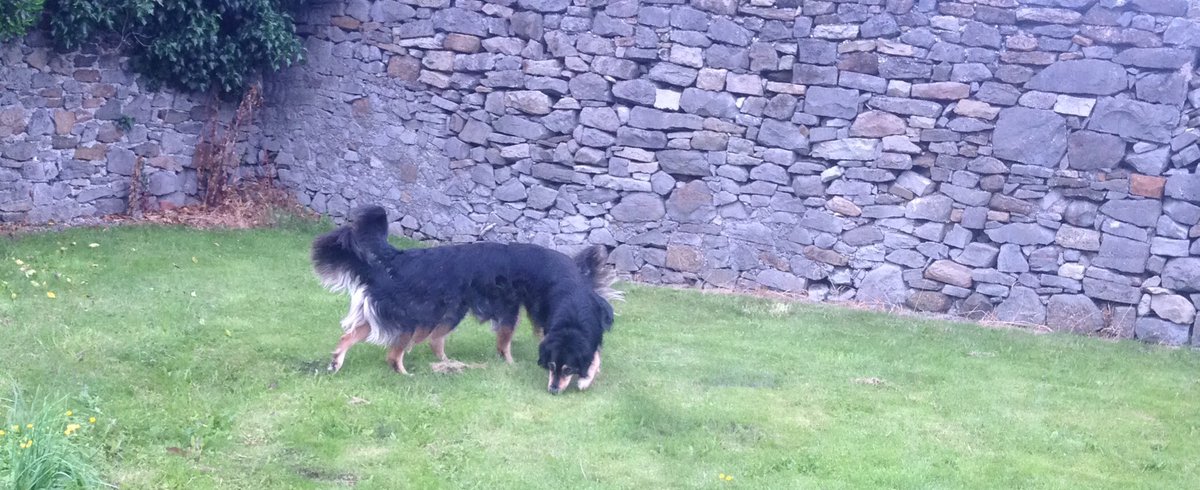 eimearwinterss's tweet photo. Panos with rolo are great #10legs https://t.co/xoFUgqRkM5