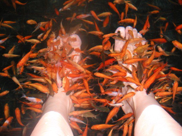 addweup's tweet photo. Have the problem of feet paper? Then u should try #SpaFish !
@SpareFoot#taiwan
1st try: https://t.co/0NgbbLfCWn https://t.co/zfP9iHZNsY