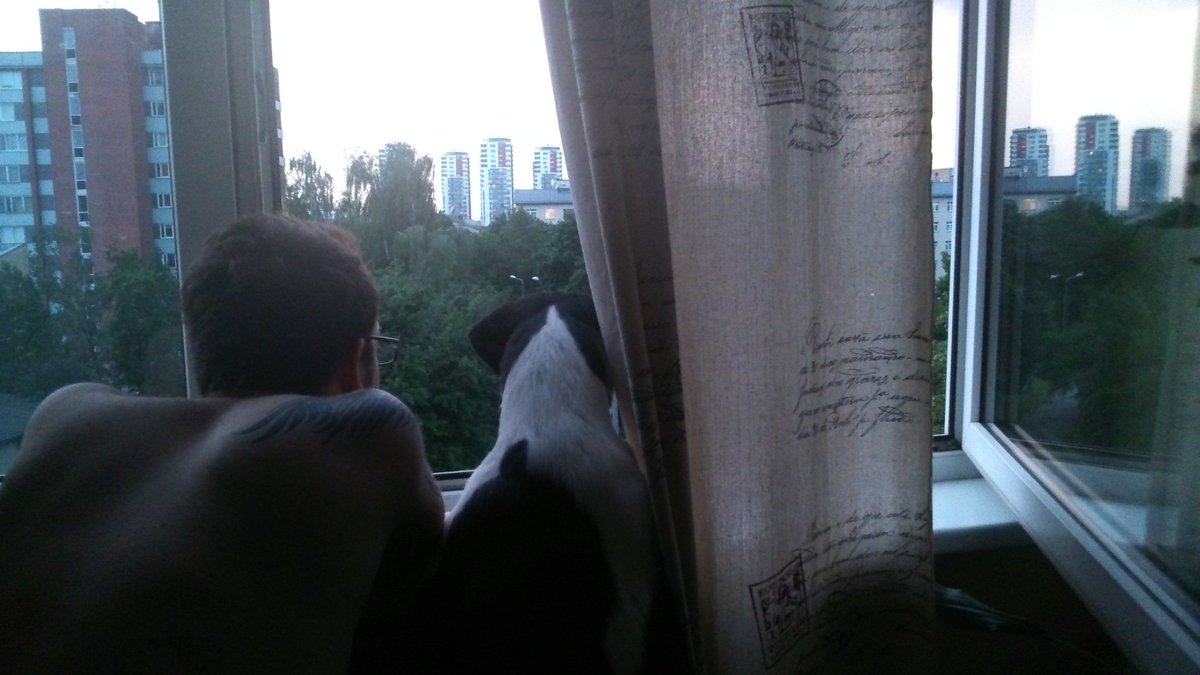 SunsPeka's tweet photo. Beidzot svaigs gaiss! Manam hooman arī patīk. #bondingtime #letitrain https://t.co/U7ibsw4QP8