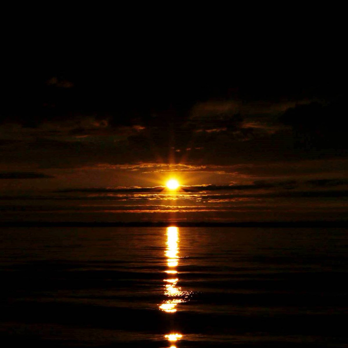 Picture of the Day:
 
<a href="/OffshoreAcademy/">Offshore Academy</a> captures last light during La Solitaire du Figaro