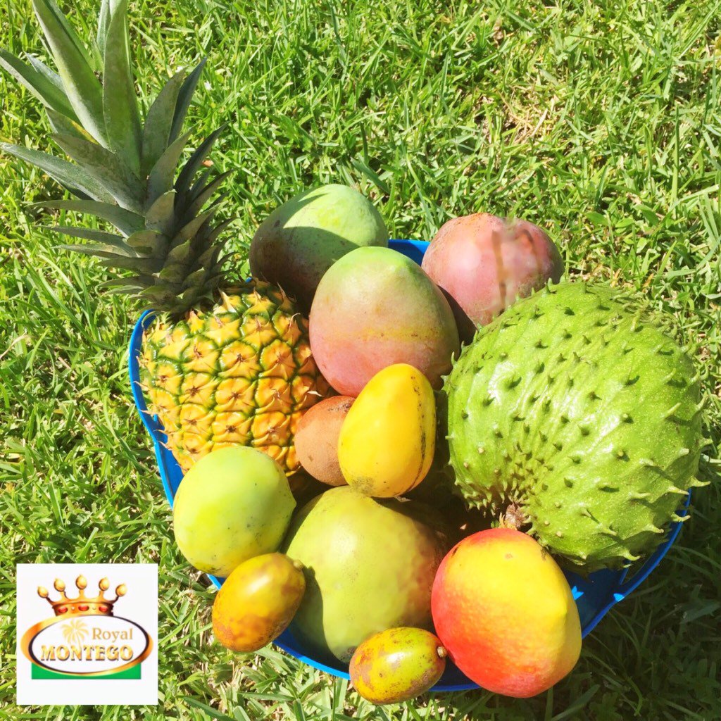 RoyalMontego's tweet photo. #summerfruits #jamaicanfruits #jamaicanfood #royalmontego #naseberry #soursap #mango #pineapple #juneplum #foodie https://t.co/haW7ZJ4Lrx