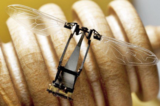 NineInchBride's tweet photo. Beware the Robo-Bee + Monsanto + DARPA https://t.co/1PdmVlmmp4 The #RobotBee…interlocking military & #GMO #BigAg https://t.co/dcbT10RxJL