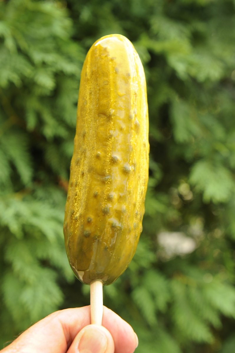 knoebels's tweet photo. #90ReasonstoVisitKnoebels ... #11 Pickle on a Stick! #foodonastick #coolsnack #Knoebels90 https://t.co/YKLWe1VD2T