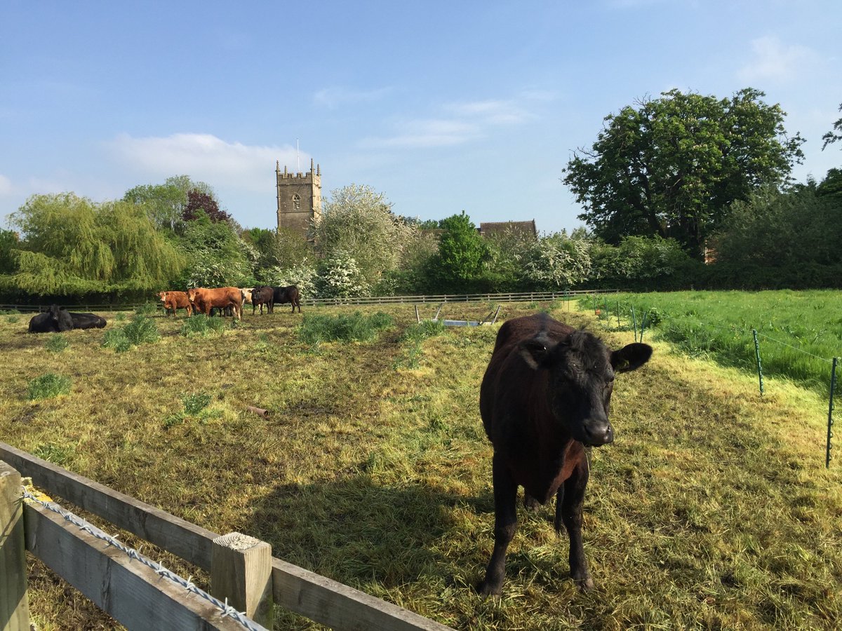 WestminsterChed's tweet photo. Have you discovered daily life on the farm for our animals? #natureintended https://t.co/MhPDfzO1io https://t.co/X2bp3jwXtV