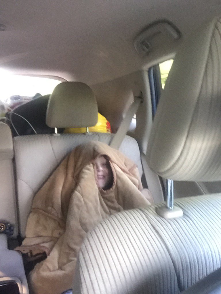 Austin Alexander tweet media