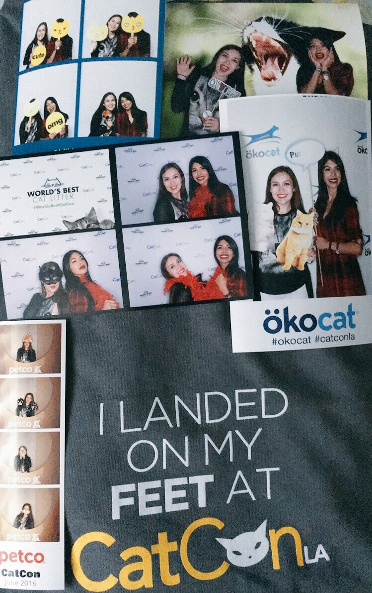 _claudiabelle's tweet photo. Had the best time @CatConLA🐱 So many Cat goodies! Can't wait to go again! 😻 #CrazyCatLady #CatConLA2016 https://t.co/g9LvNel9OI