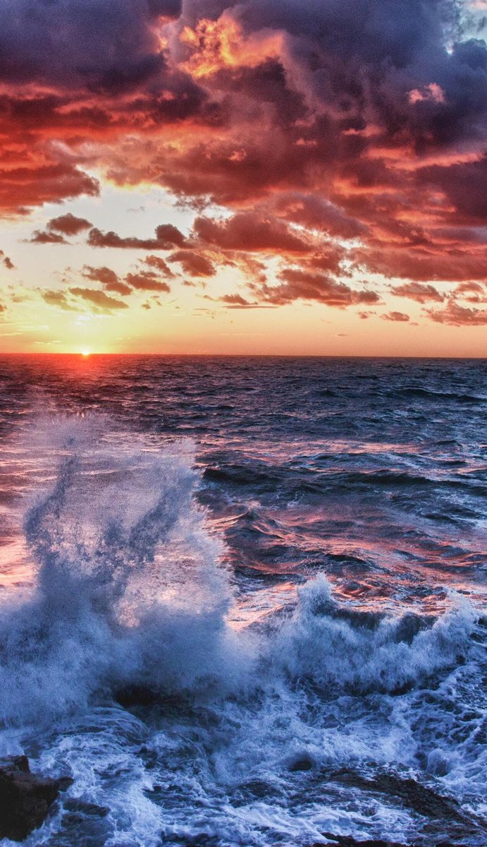 Avoided_Jr's tweet image. 