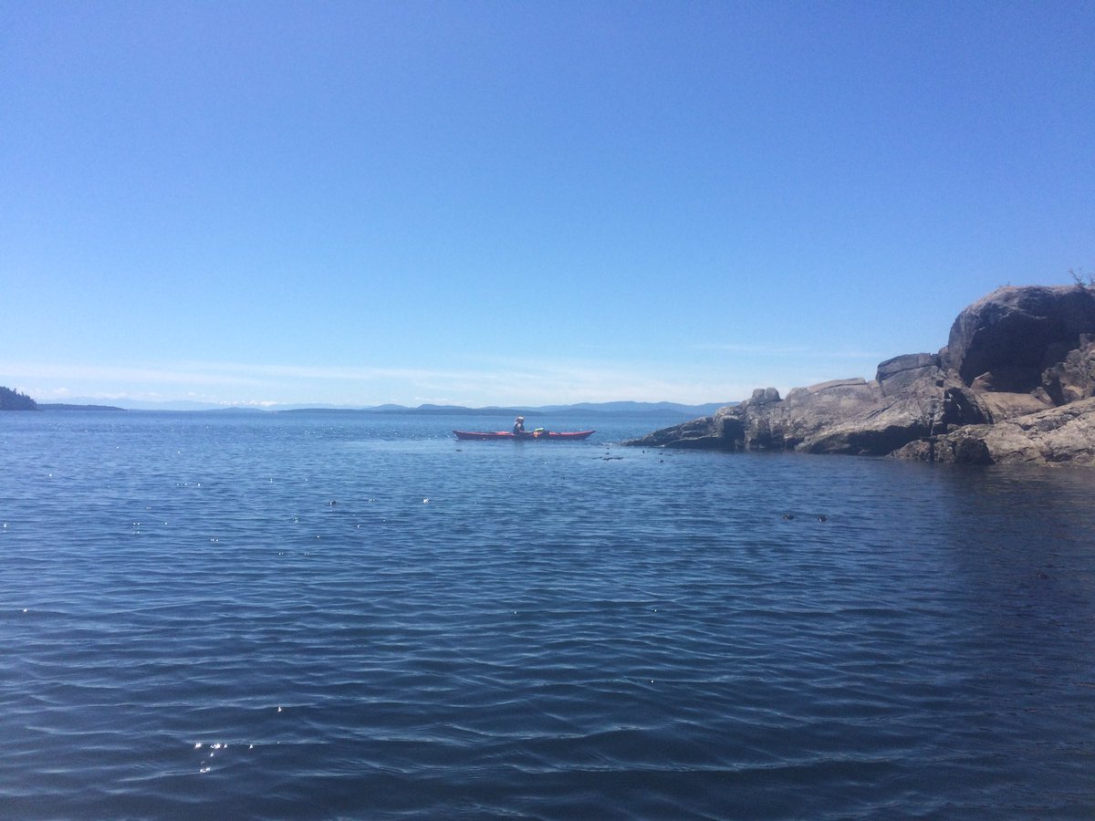 cubaaventures's tweet photo. First day out on the ware in Otter Bay, hanging out with the seals! #explorebc #penderisland #kayaking #saltlife https://t.co/E1sqo17mRY