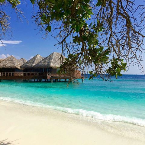 maldivedotcom's tweet photo. Beautiful Water Bungalows at Bandos Maldives
Photo by: ysteoh https://t.co/rZEacrEfQT