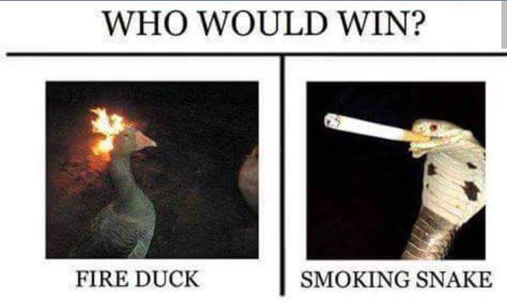 IceSuspect's tweet image. Place your bets @cobaltkobra @DolanDark