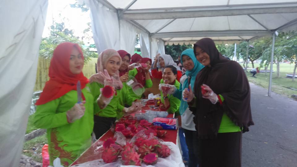persiapan rekor muri buah naga #welovebalikpapan