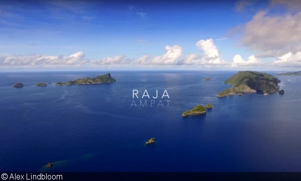 LiveaboardsIndo's tweet image. Watch: Raja Ampat’s Aerial Landscapes and Underwater Treasures
youtu.be/LxTVL8IENeQ  #scuba #indonesia #park #sea