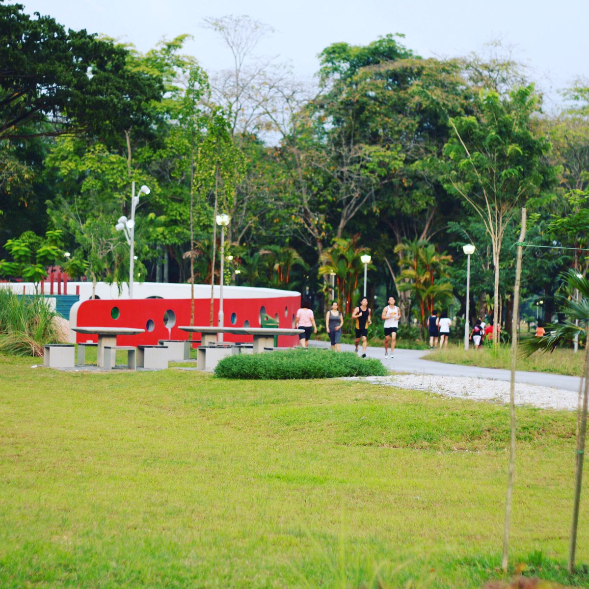 Rishi_K_Ghimire's tweet photo. I love to run AMK- Bishan park, kids enjoy playing too #SCMS2016DQ #day3task #scms2016 #runner #loveit #singapore https://t.co/qwzzB6z2AZ