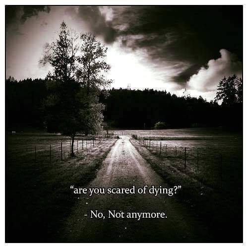 Joyjefferies's tweet photo. #deatheducation https://t.co/rntq2FLtcg