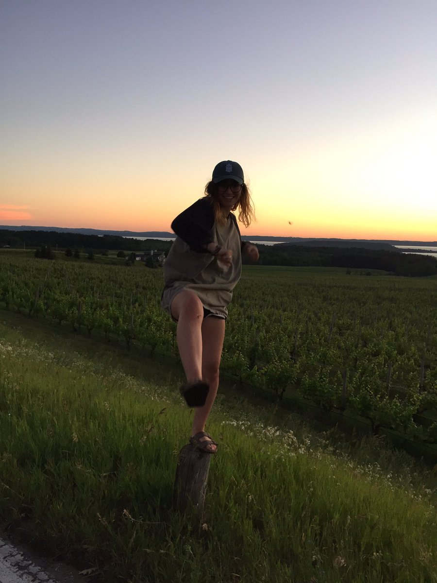 madeline_z's tweet photo. Having a great time, blissfully unaware of my fate that was being attacked in the face by this bee https://t.co/zQck5m3nJZ