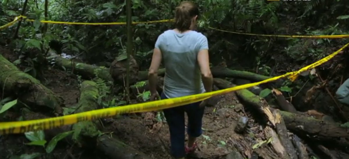 National Geographic TV on Twitter "Months after the Dial family left