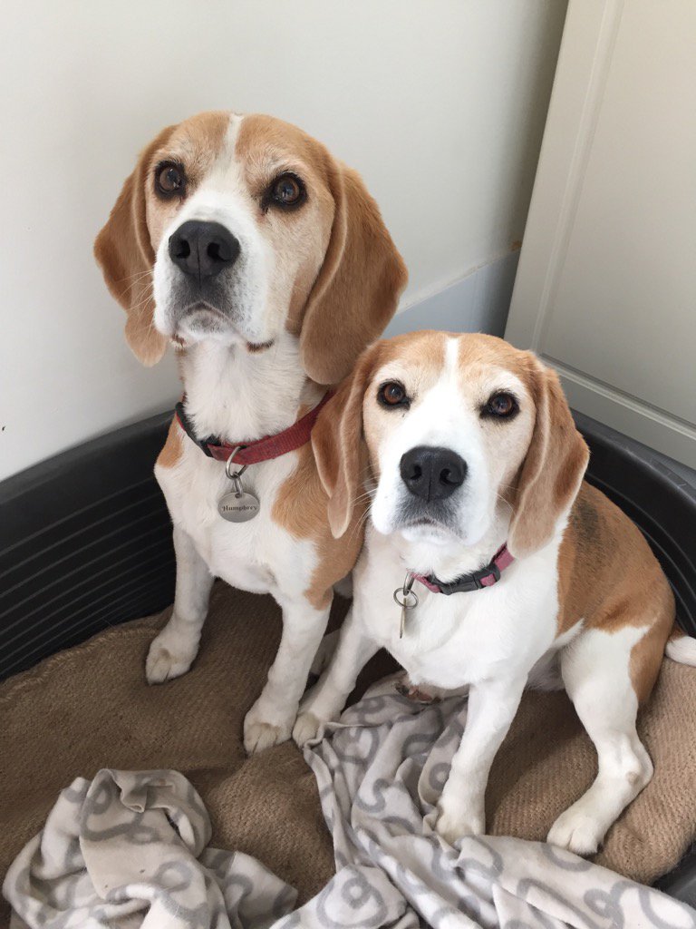 Rain rain go away come again another day