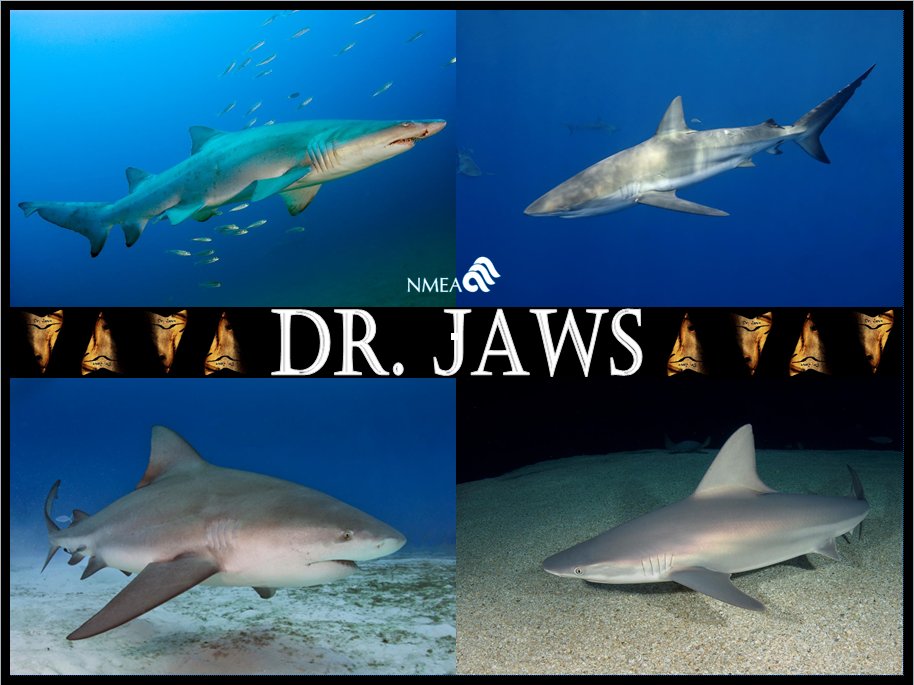DeepSeaPublish's tweet photo. Happy #Sharknado day!  https://t.co/Ca1XgdQNg0