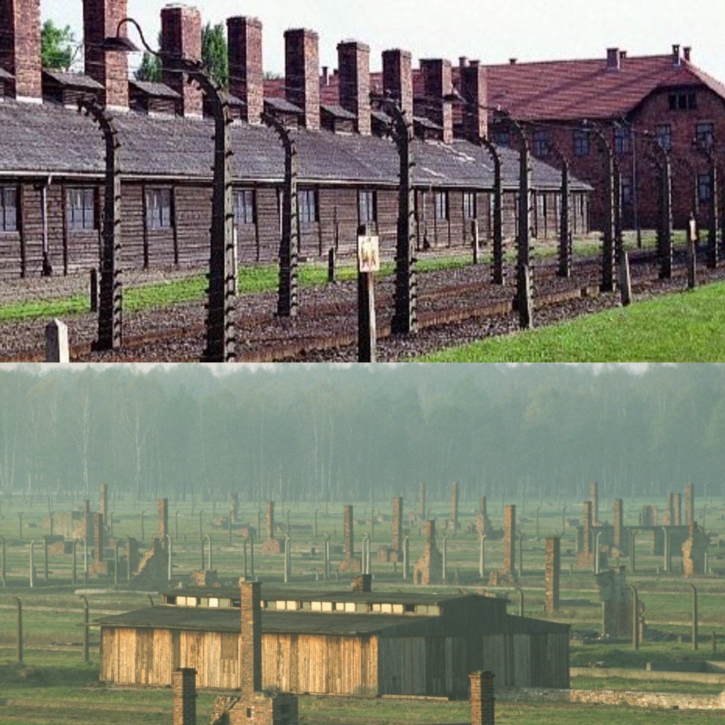 alexisy95's tweet photo. Never Forget The Holocaust. @rainerhoess #NaziFreeEurope #NeverForGetToVote @HolocaustMuseum @EvaMozesKor https://t.co/Tm4qgvnuct