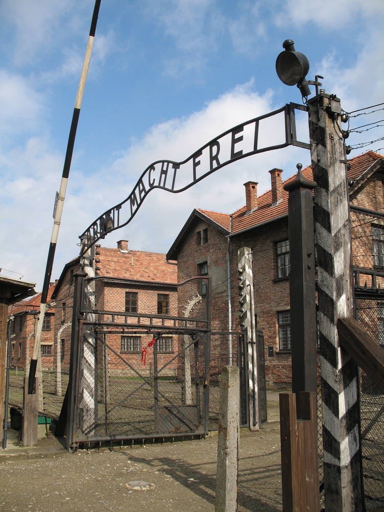 alexisy95's tweet photo. Never Forget The Holocaust. @rainerhoess #NaziFreeEurope #NeverForGetToVote @HolocaustMuseum @EvaMozesKor https://t.co/Tm4qgvnuct