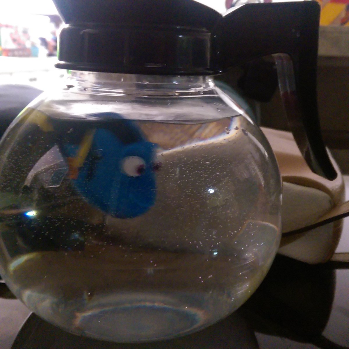 paulunderscore4's tweet photo. This is the epitome of technology, toys in water, with a bowl shaped like a coffee pot https://t.co/CT4ji9h7bZ
