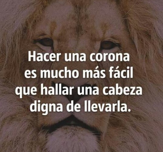 5576ff6f2f1248e's tweet photo. Caras vemos corazones no sabemos!! https://t.co/VZTHMGVx9M