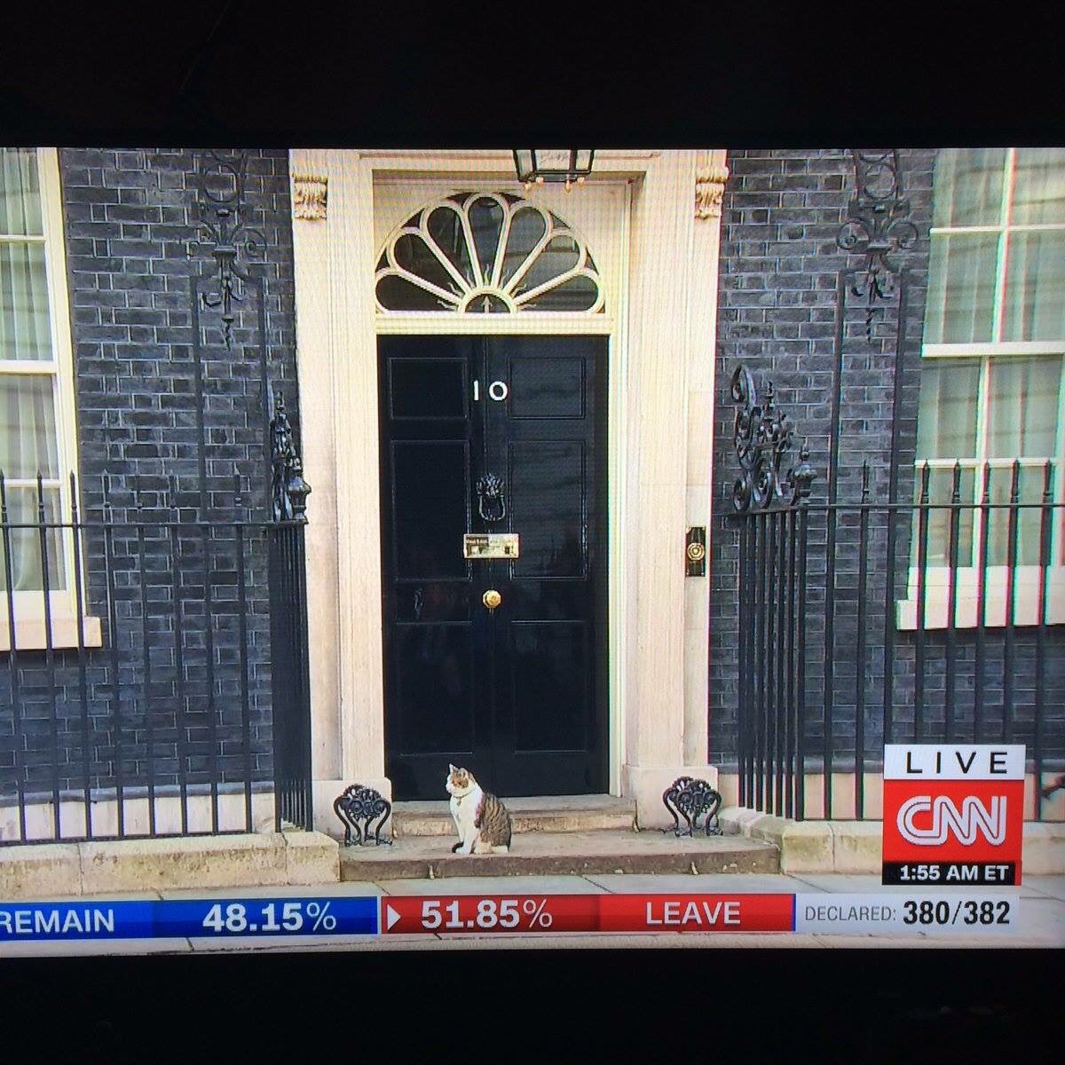 MuggleNet's tweet photo. BREAKING: Prof McGonagall spotted at 10 Downing Street. Rumour has it that Ministry of Magic is about to take over. https://t.co/FLrtlEODBk