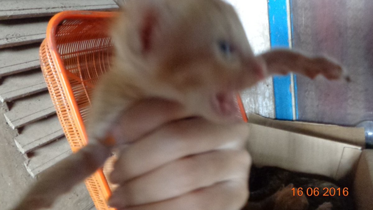 Asywinda7 tweet media