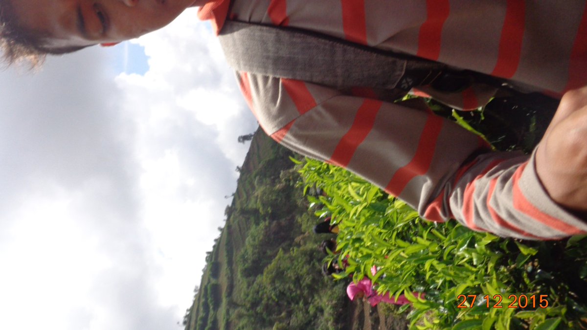 Asywinda7 tweet media