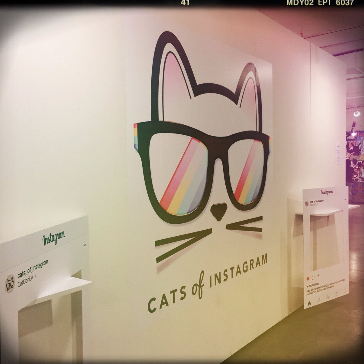 mummynyan's tweet photo. Catcon 2016!! (=^x^=)ノ
#CatConLA2016 https://t.co/5dCIBra5Uk