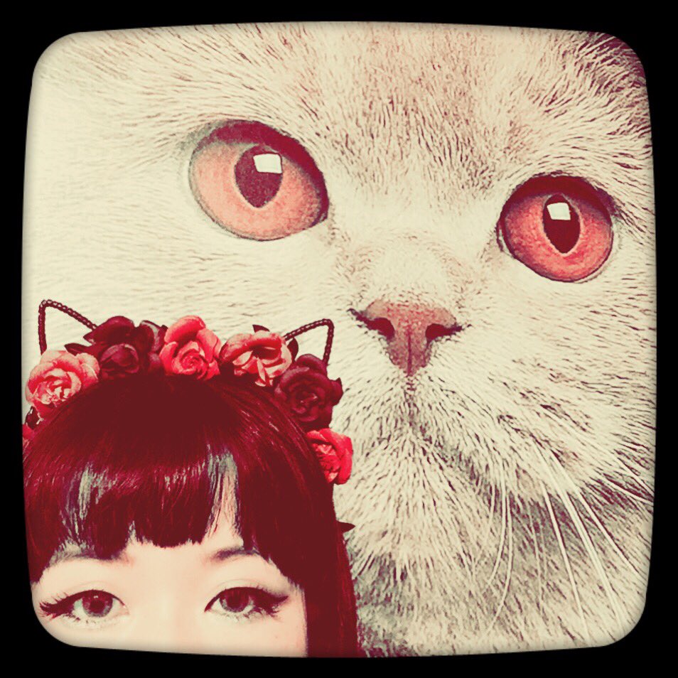 mummynyan's tweet photo. Catcon 2016!! (=^x^=)ノ
#CatConLA2016 https://t.co/5dCIBra5Uk