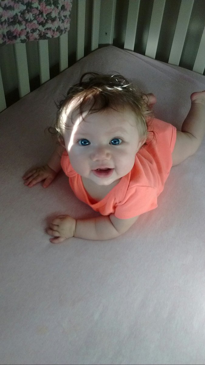 SoxFollowsback's tweet photo. She's my angel. https://t.co/US3HmwaqVf