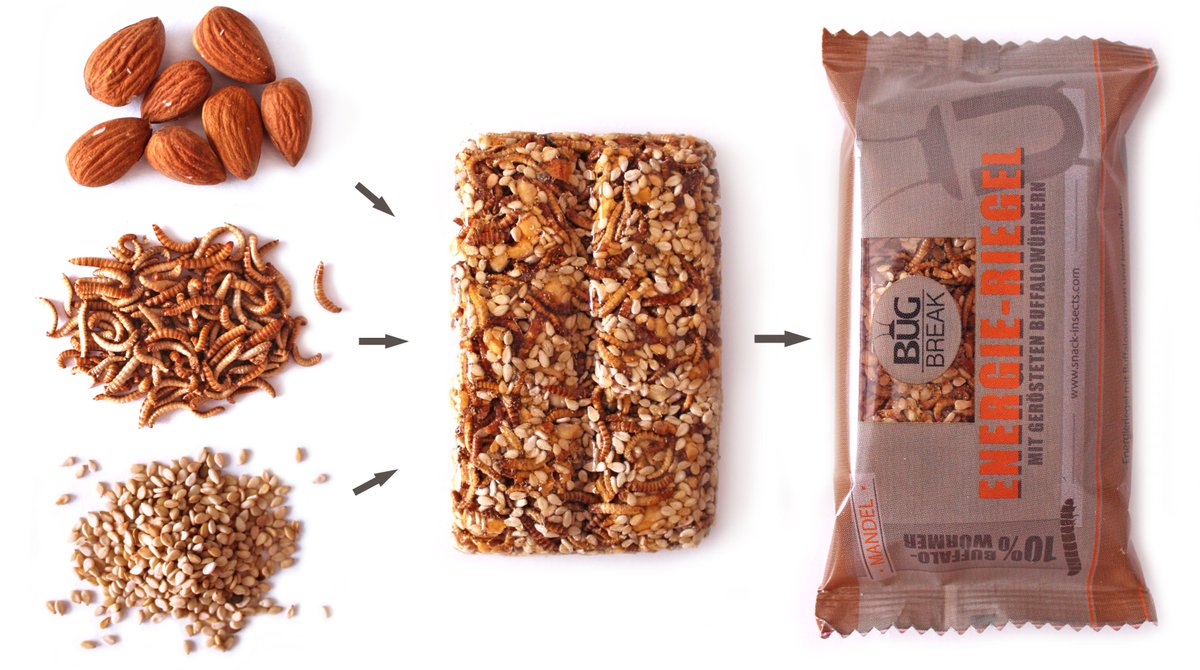 #Bug-Break Riegel - eine Snack- Revolution!  #Buffalowürmer Samstag den 09.07 von 11:00-16:00 Uhr <a href="/globehamburg/">Globetrotter Hamburg</a>