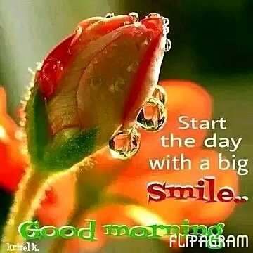 DreamAuto2's tweet image. 