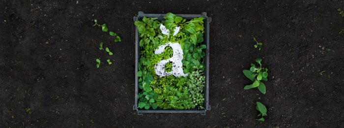 Scanorganics's tweet photo. Vi är nominerade till #änglamarkspriset. Mycket hedersamt! https://t.co/Osk3puULkR https://t.co/3HyiyaLd4J