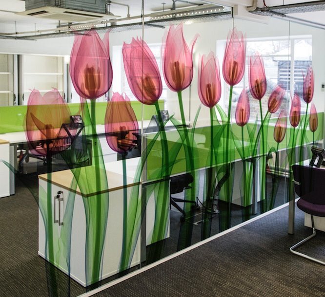 glassdesigns_'s tweet photo. Stunning original work by artist Hugh Turvey! #glass #glazing #art https://t.co/OkMjqLDSIE