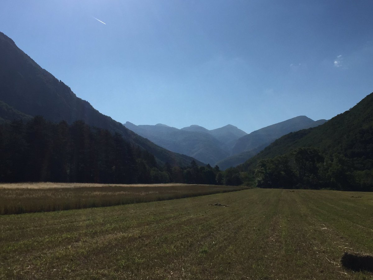 skyrunner26's tweet photo. #Saou #trail #courseapied #teamcimalp #rochecolombe #synclinal https://t.co/J84tY3uDAv