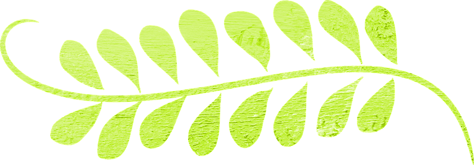 hi_grecor's tweet photo. When people talk about "#greenprograms" #greeninitiatives"; they are referring to efforts towards sustainability. https://t.co/L1I5UfESGl