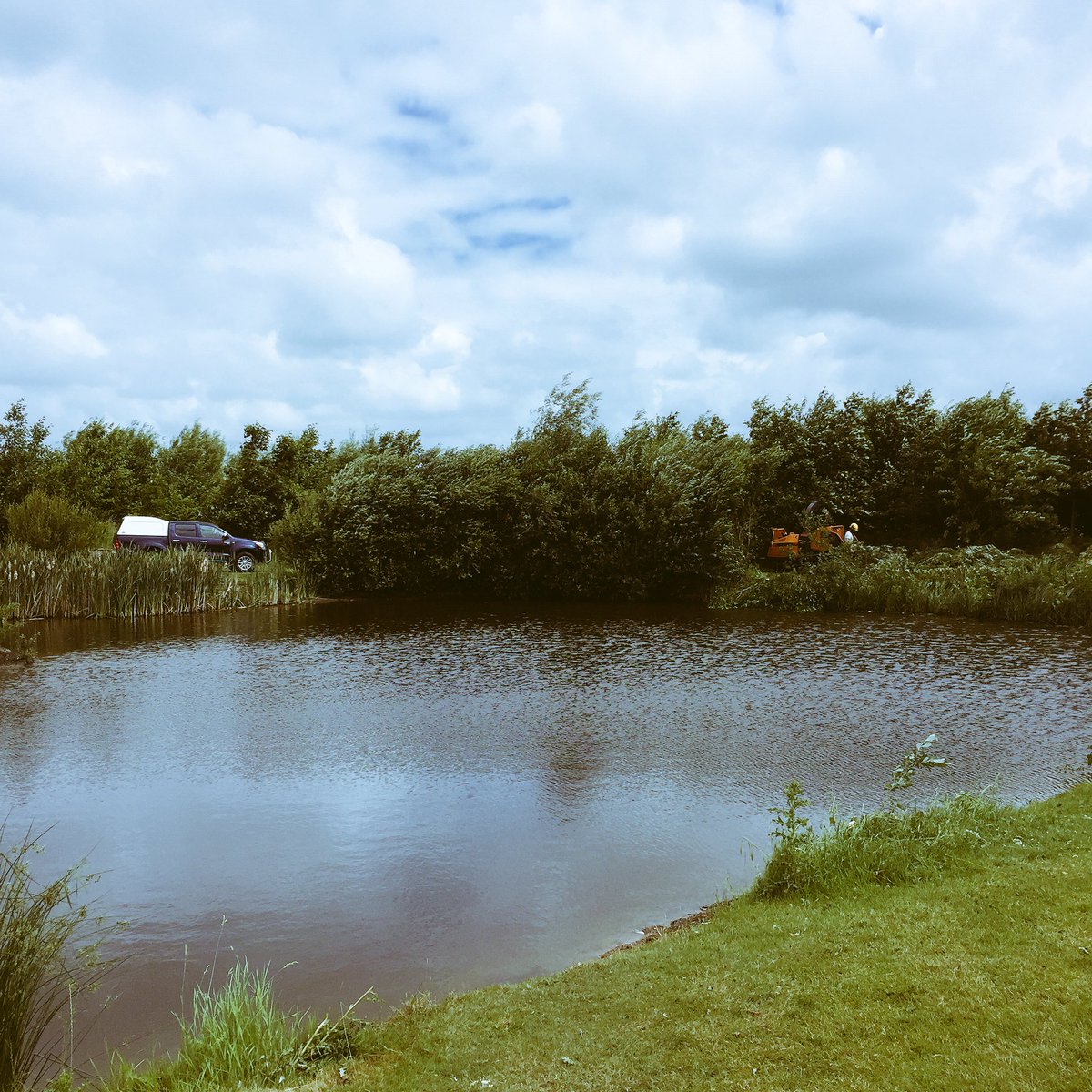 A day by the lake, coppicing some self seeded willows