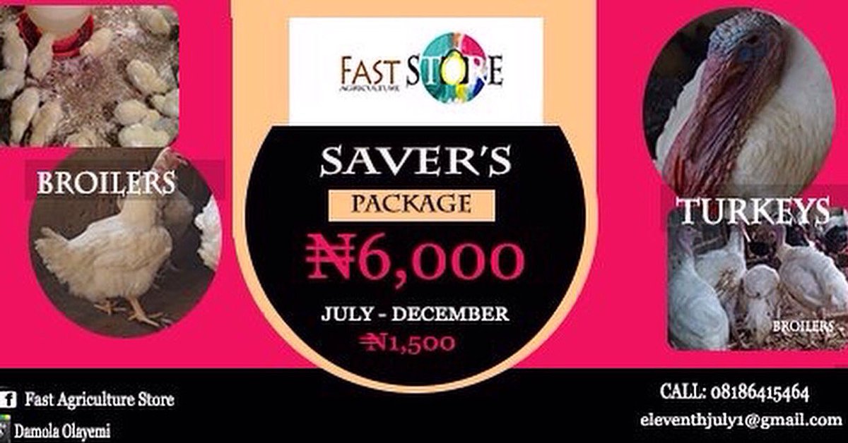 OlatundeSanwo's tweet photo. Imported turkeys 
we care for them now to December, #sale
#6000 NOW in June
#1500 per month @FastAgric
BBM. 7BD4EC9E https://t.co/hUdnR72ieZ