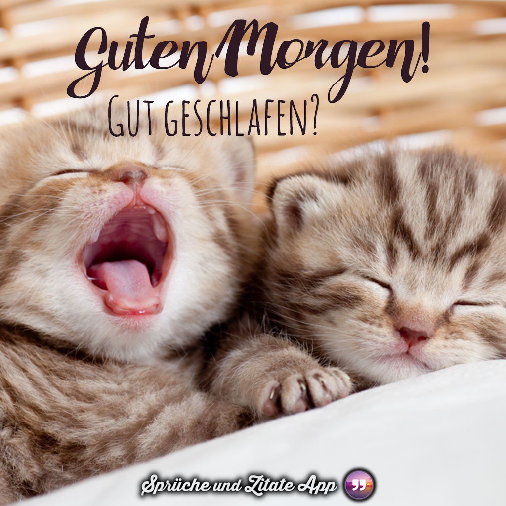 Michel Kodssi At Michelkodssi Twitter