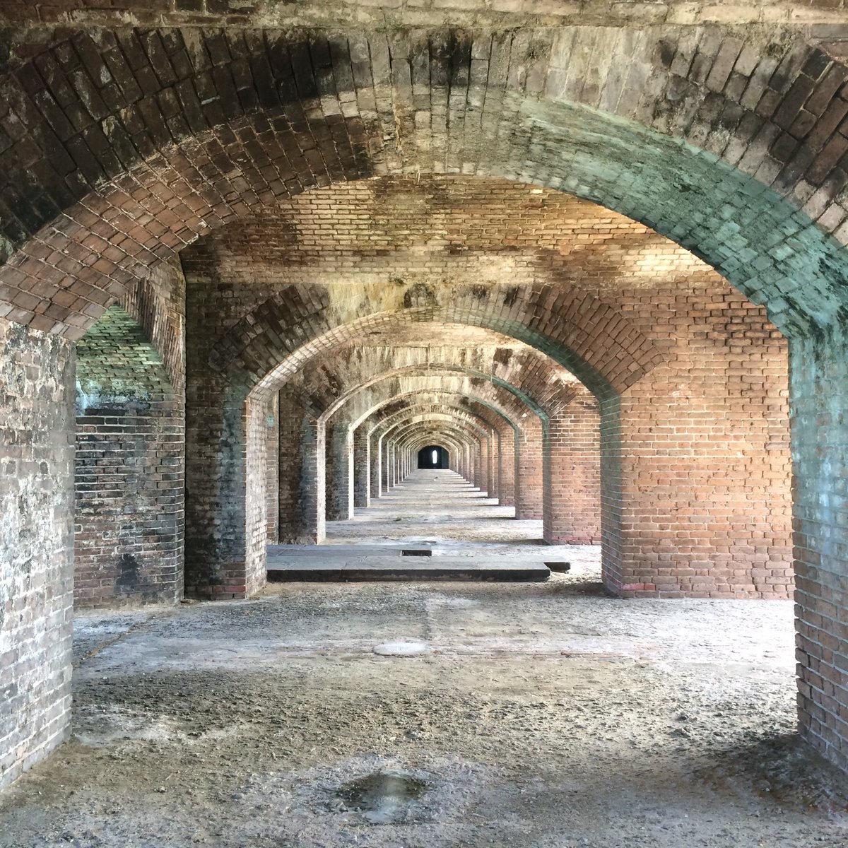 Collhal's tweet image. #drytortugas