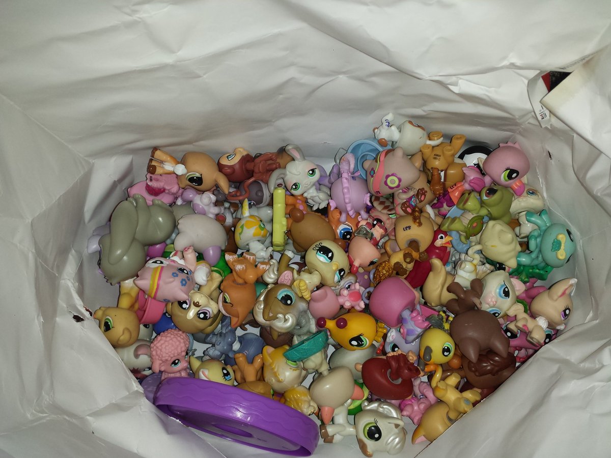 WarriorMomRios's tweet photo. My daughter found my stash of #lps #tomanytoys #nowwhat #MommyLife #shouldofsoldthem #littlestpetshop #shefoundthem https://t.co/XHbPG1kdOH