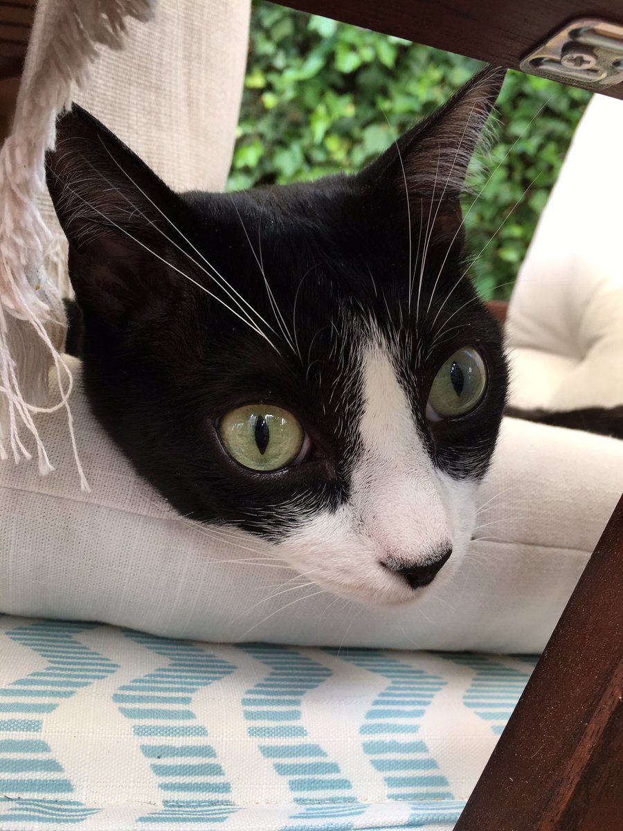 Varona, estoy deprimido. 
(mentira, quiero lata)

<a href="/Panchovarona/">Pancho Varona</a>