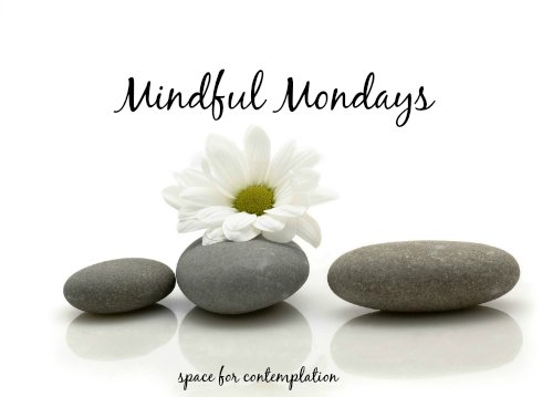 Focus12Rehab's tweet photo. How to mindful on Monday's @Focus12Rehab...

#greenfrontdoor #wherethemagichappens #FutureIsFocus https://t.co/C9UifOSl9X