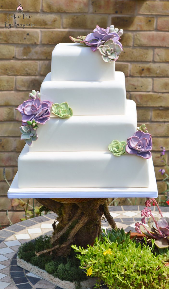 CakeMBSurprise's tweet photo. The ultimate succulent wedding cake! #wedding #planning #cake #makemycake https://t.co/iyqJ96xUrZ