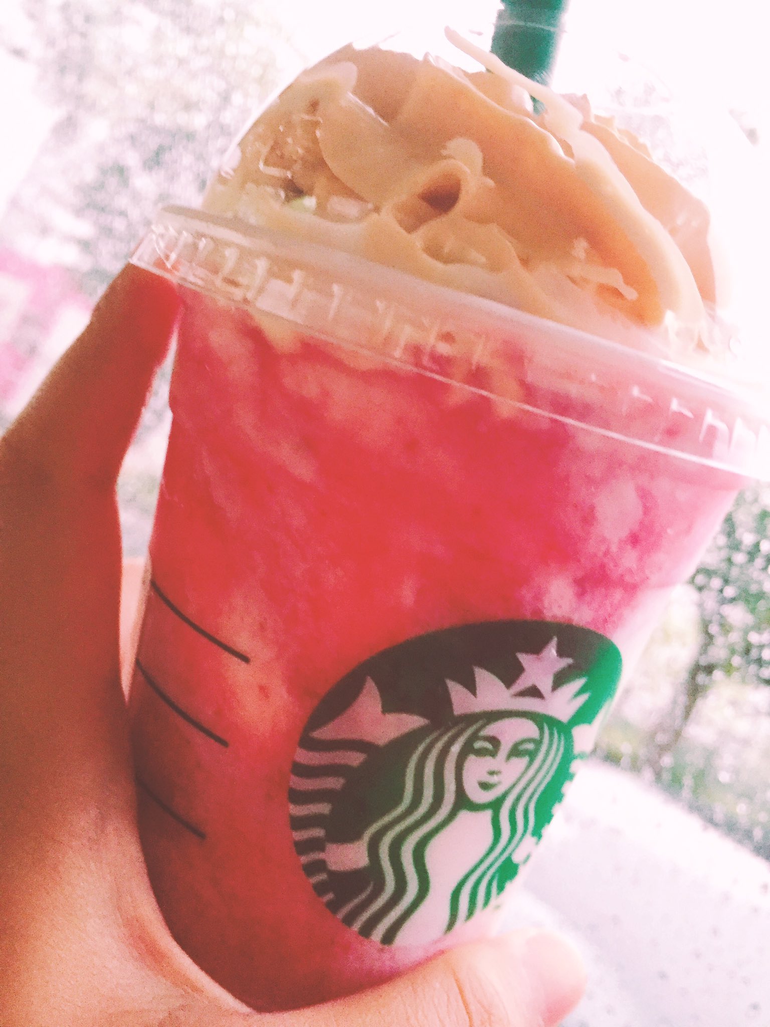 ストロベリーチーズケーキフラペチーノ Twitter Search Twitter