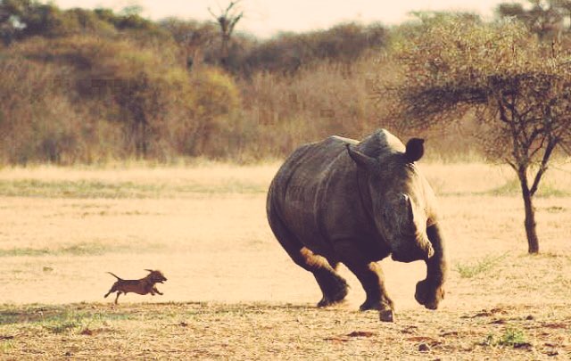 Leikdagur ... Áfram Ísland!

⚽️ #ENG  v #ISL
#EURO2016