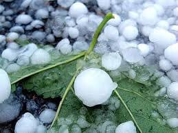 GroupamaRaa's tweet image. Suite aux chutes de grêle dans l'Ain le Rhône et la Saône et loire toutes les équipes @GroupamaRaa sont mobilisées