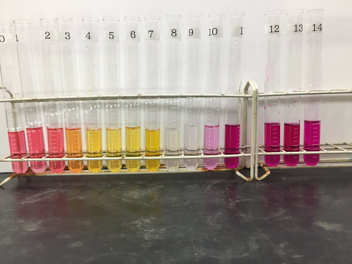 旭丘高校 数理科学部 この溶液 酸性のものにメチルオレンジ 塩基性のものにフェノールフタレイン液を入れるとまた変わったグラデーションが見られます それぞれの性質が強いほど 色が濃いですね